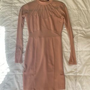 TigerMist Mauve Mesh Dress (Worn Once)